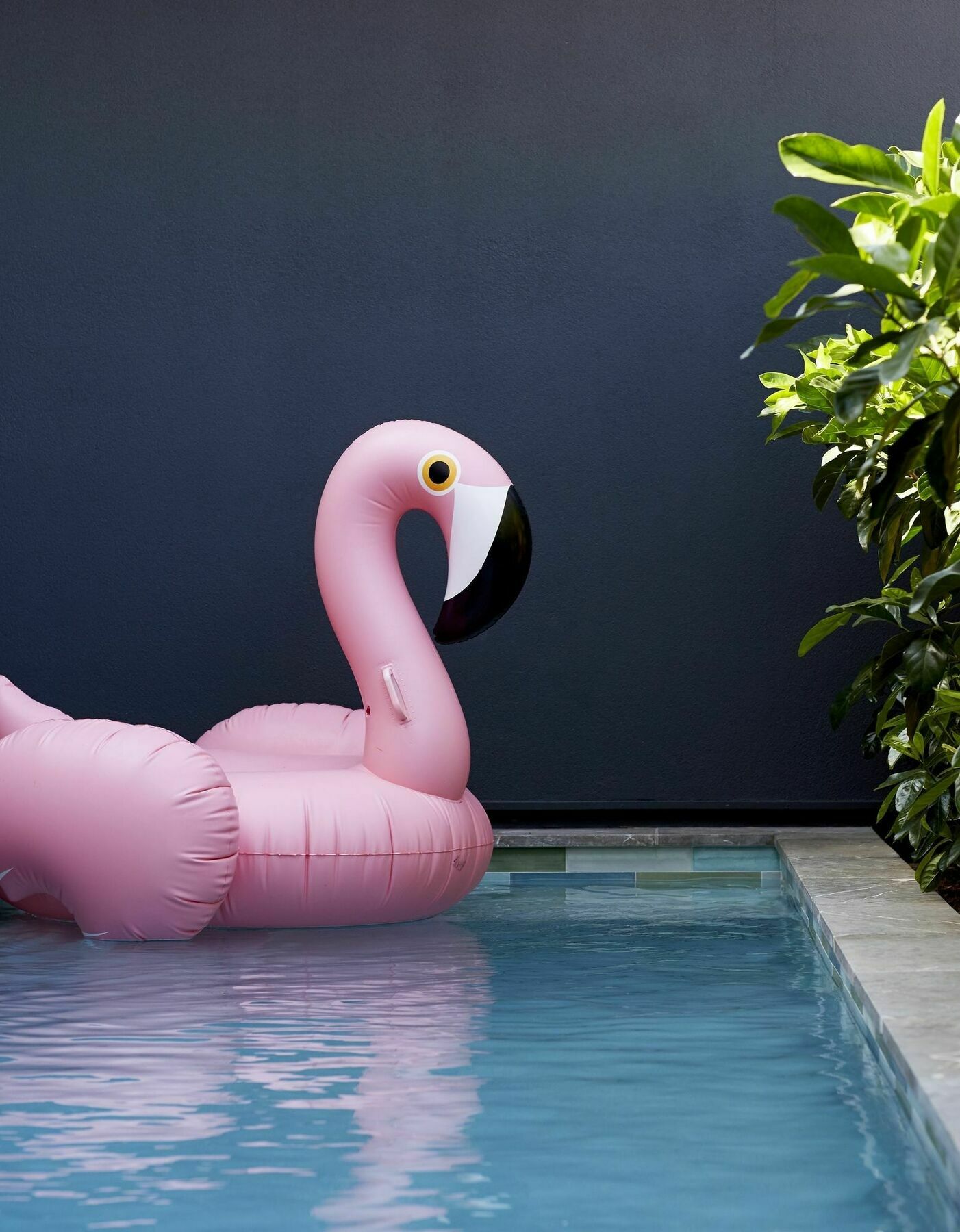 28 Degrees Byron Bay - Adults Only Hotel Екстериор снимка